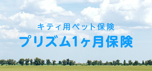 キティ用ペット保険 プリズム1ヶ月保険