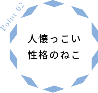 人懐っこい性格のねこ